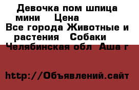 Девочка пом шпица мини  › Цена ­ 30 000 - Все города Животные и растения » Собаки   . Челябинская обл.,Аша г.